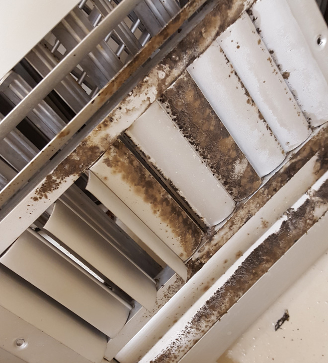 Air Duct Cleaning for Water Damage in and near Bonita Springs Florida