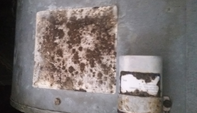 Air Duct Cleaning for Mold Spores in and near Estero Florida