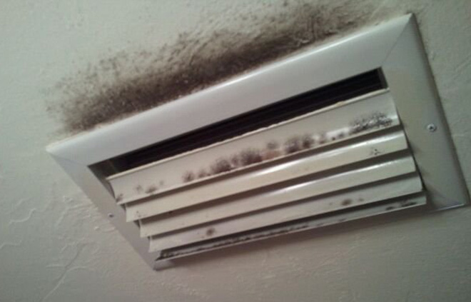 Air Duct Cleaning For Mold On Ceiling In Fort Myers Fl